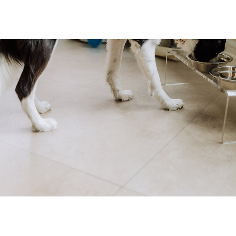 GFloor Ceramic Texture Pet Flooring Protector & Reviews Wayfair